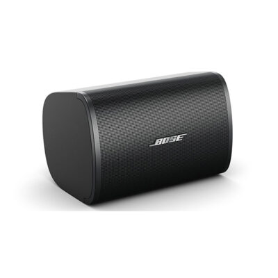 Loa Bose Designmax