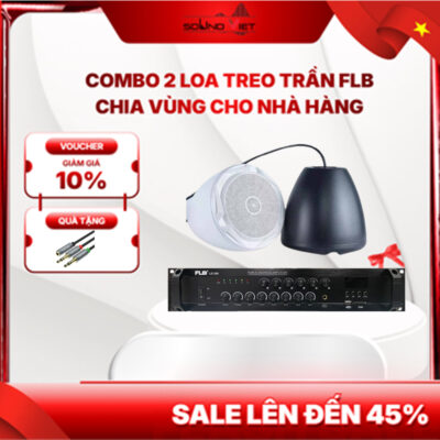 Combo 2 Loa Treo Trần FLB Cho Nhà Hàng