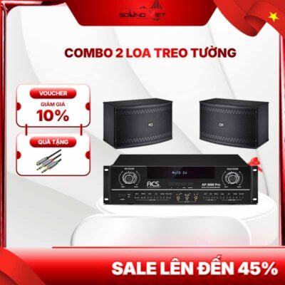 Combo 2 loa full treo tường ACS DL310