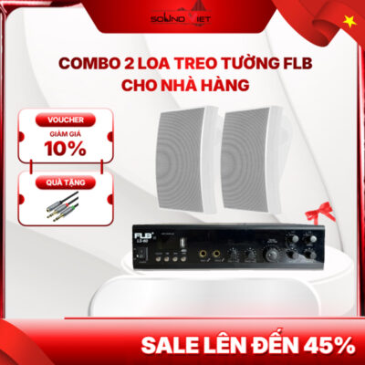 Combo 2 Loa FLB Cho Nhà Hàng