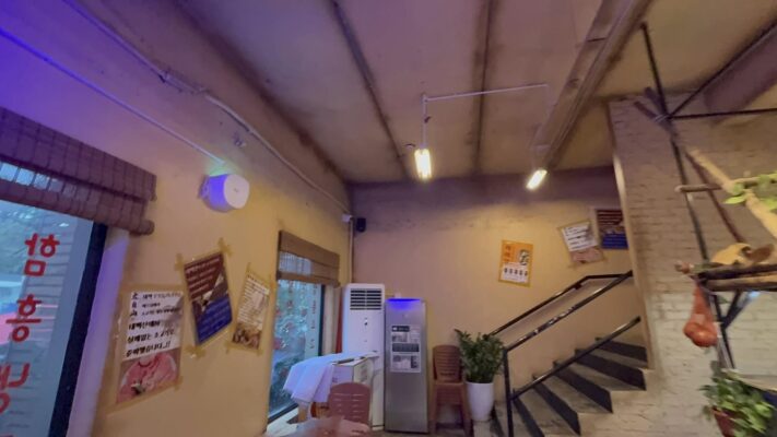 Loa treo tường phục vụ âm thanh nghe nhạc du dương 