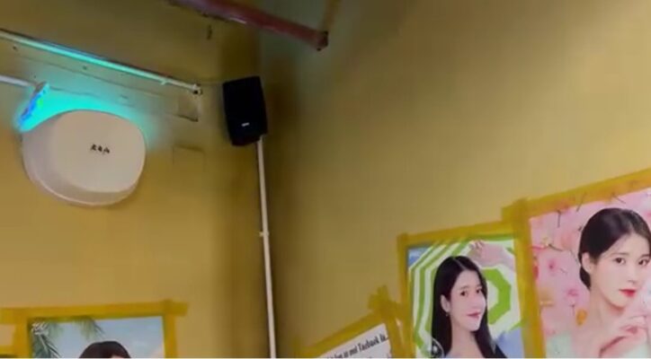 Chi tiết loa treo tường