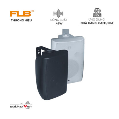 Loa treo tường FLB FT-205