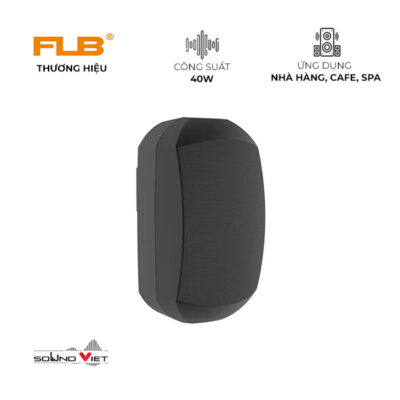 Loa treo tường FLB FT-606
