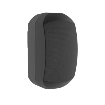 Loa treo tường FLB FT-605 
