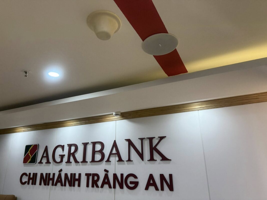 Loa âm trần kết hợp trong phòng họp