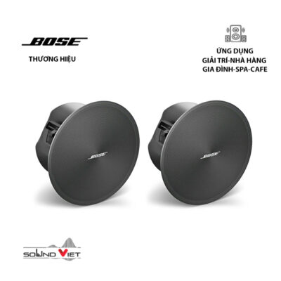 Loa Âm Trần Bose Designmax DM3C