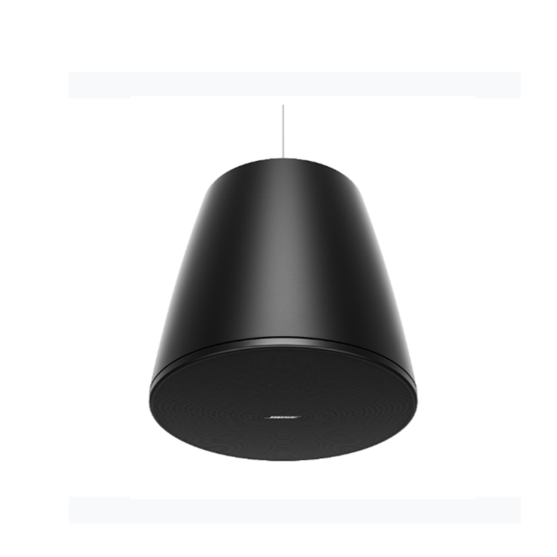 Loa Treo Trần Bose Designmax DM10P Sub