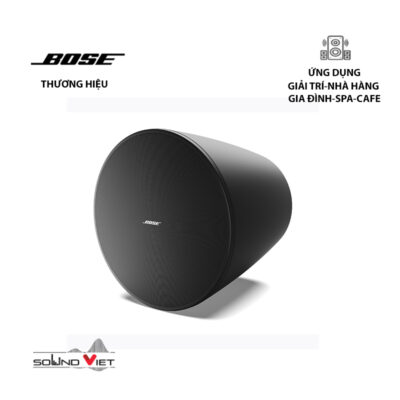 Loa Treo Trần Bose Designmax DM10P Sub