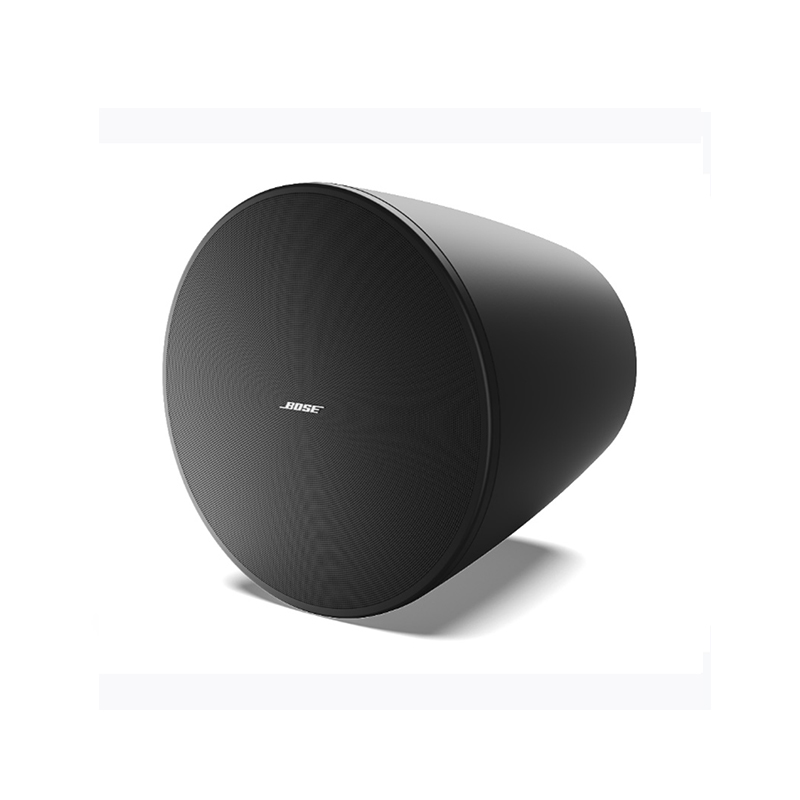 Loa Treo Trần Bose Designmax DM10P Sub