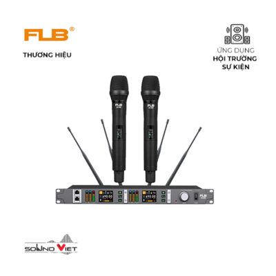 Micro Không Dây Cầm Tay FLB SK-500
