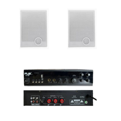 Combo 2 loa treo tường 10W FLB
