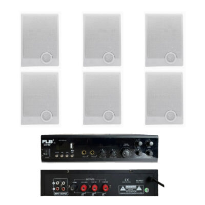 Combo 6 Loa Treo Tường 10W FLB