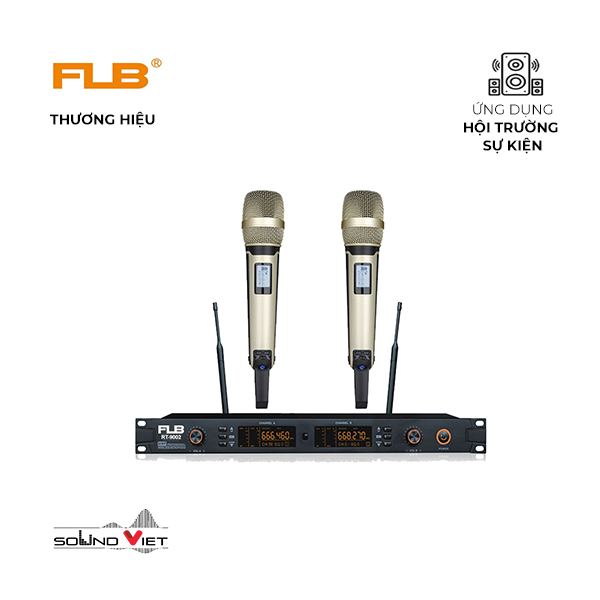 Micro không dây cầm tay FLB RT-9002