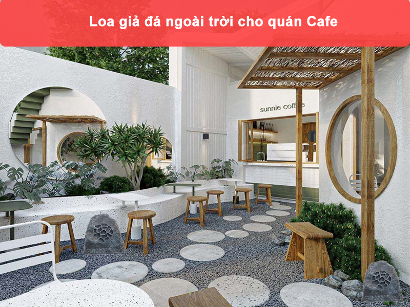 Hình ảnh thực tế loa giả đá FLB LD-601C