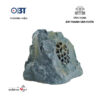 Loa Sân Vườn OBT 1802C