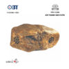 Loa Sân Vườn OBT 1802M