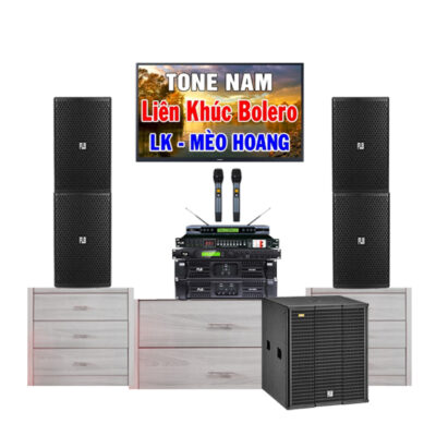 Loa Karaoke Gia Đình SV2