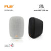 Loa Treo Tường FLB BD-401