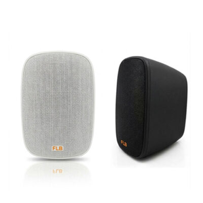 Loa Treo Tường FLB BD-501