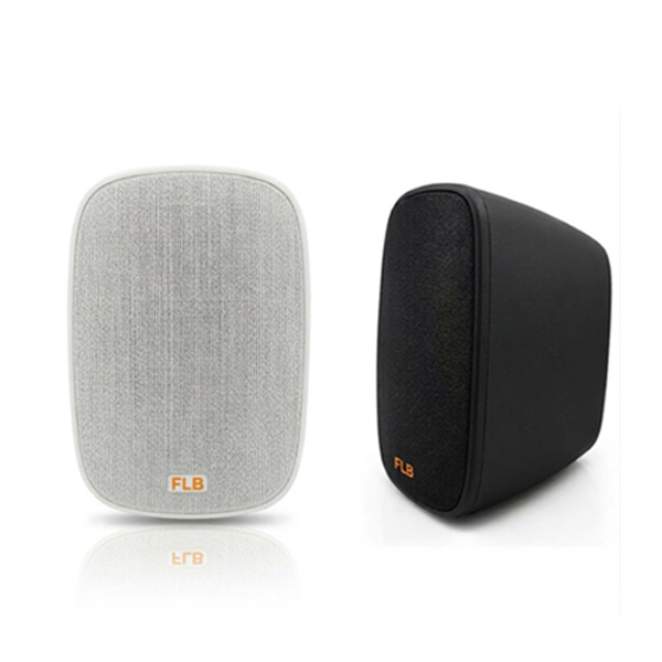 Loa Treo Tường FLB BD-501